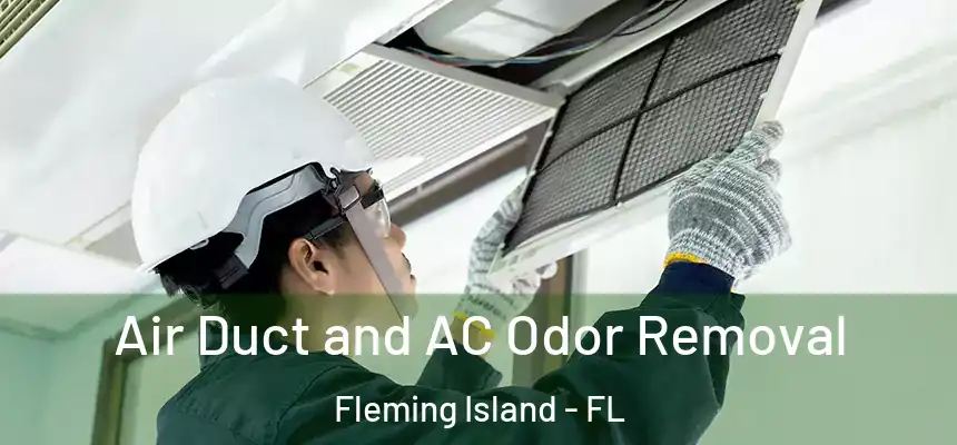 Air Duct and AC Odor Removal Fleming Island - FL