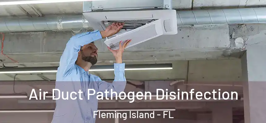 Air Duct Pathogen Disinfection Fleming Island - FL