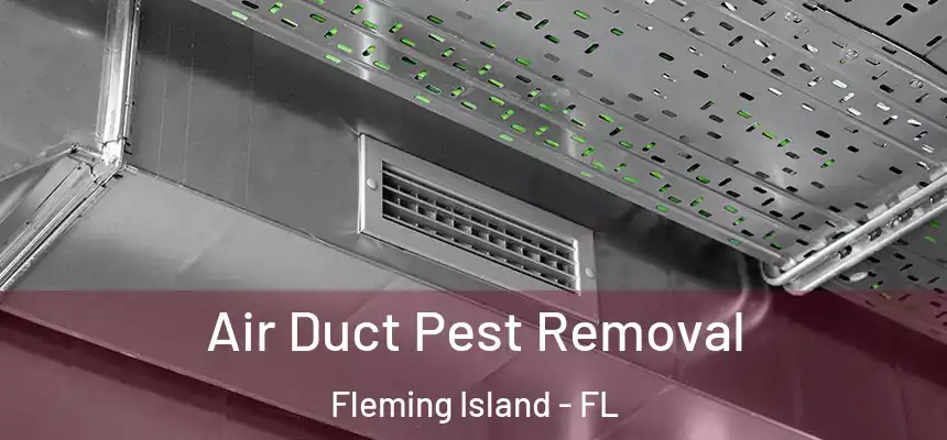 Air Duct Pest Removal Fleming Island - FL
