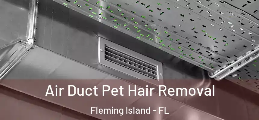 Air Duct Pet Hair Removal Fleming Island - FL