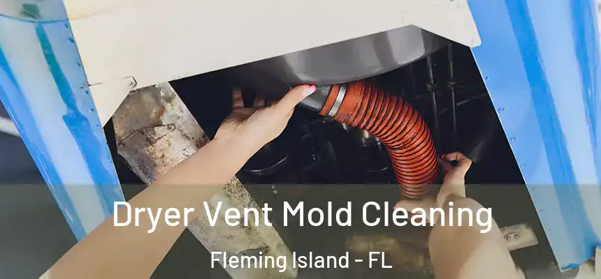 Dryer Vent Mold Cleaning Fleming Island - FL
