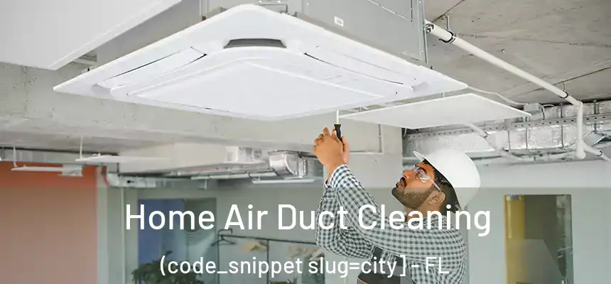  Home Air Duct Cleaning (code_snippet slug=city] - FL