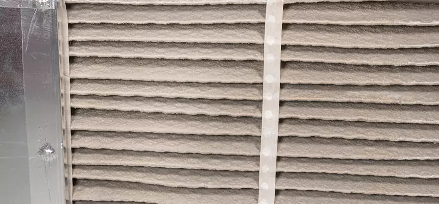 Mobile Car AC Filter Replacement in Fleming Island