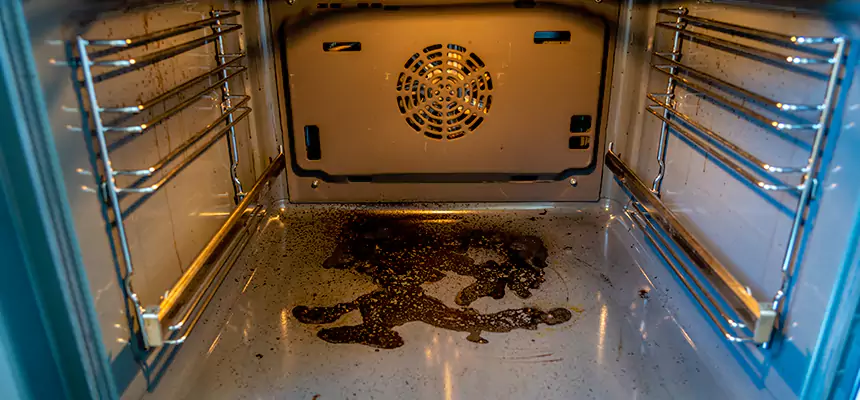 Our Dryer Vent Mold Cleaning Services in Fleming Island, FL