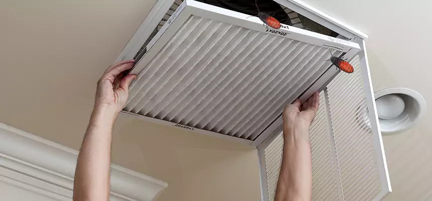 Our Insect Removal from Air Ducts Services in Fleming Island, FL