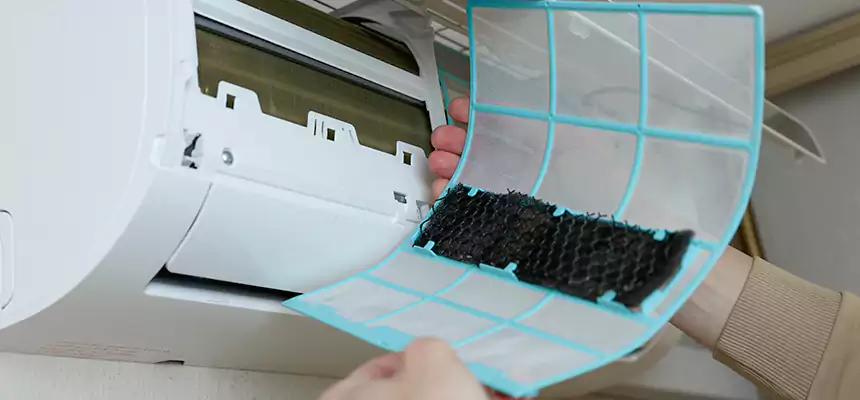 Gentle Ductwork Odor-Control Pet Dander Duct Cleaning in Fleming Island, FL