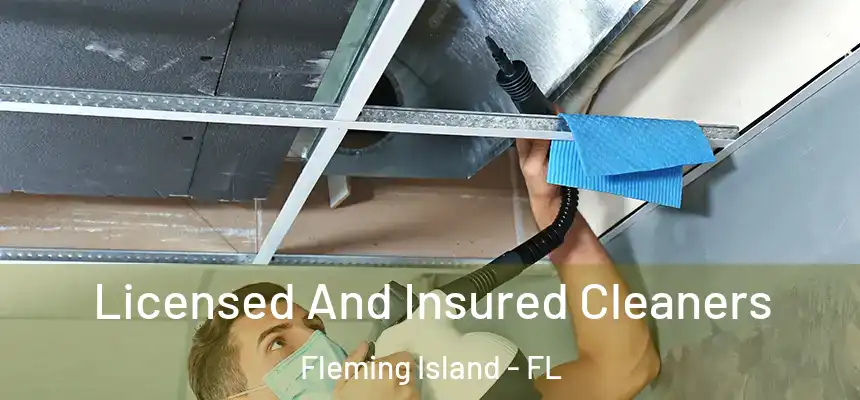 Licensed And Insured Cleaners Fleming Island - FL