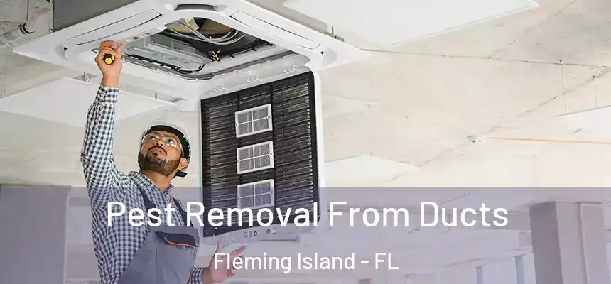 Pest Removal From Ducts Fleming Island - FL