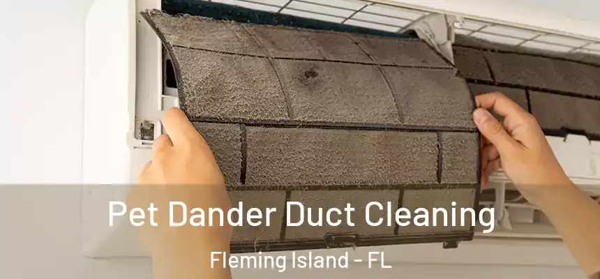 Pet Dander Duct Cleaning Fleming Island - FL