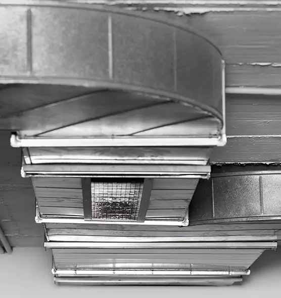 Professional Air Duct Pest Removal in Fleming Island, FL