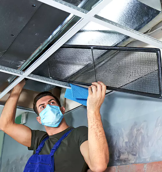 Professional Air Duct Pollen Cleaning in Fleming Island, FL
