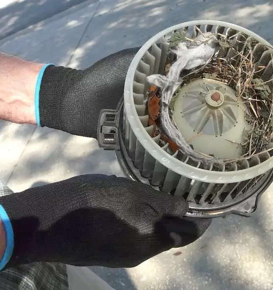 About Air Duct Rat Removal in Fleming Island, FL