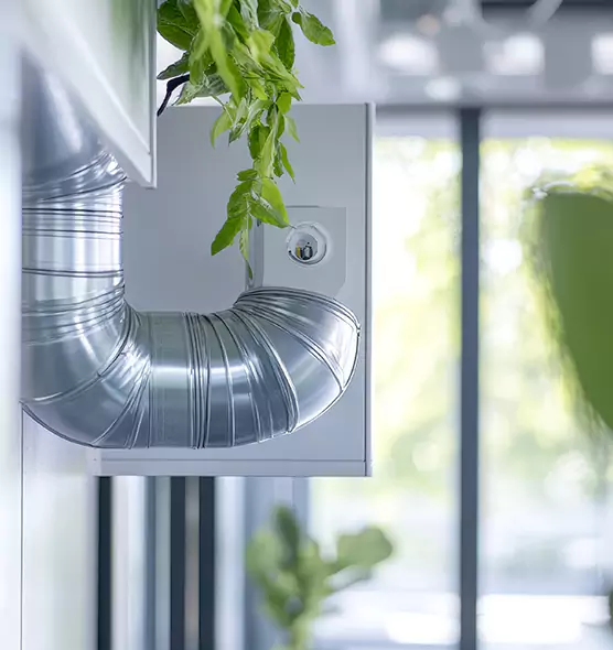 Professional Eco-Safe Dryer Vent Cleaning in Fleming Island, FL