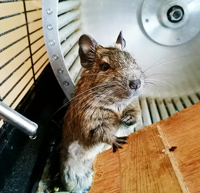 Why Homeowners & Businesses Trust Us Fleming Island, FL?